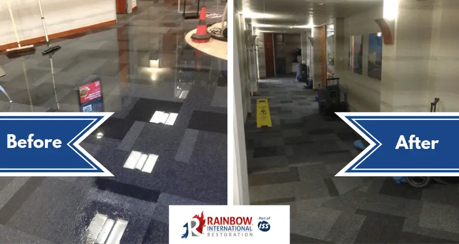 before and after water damage restoration
